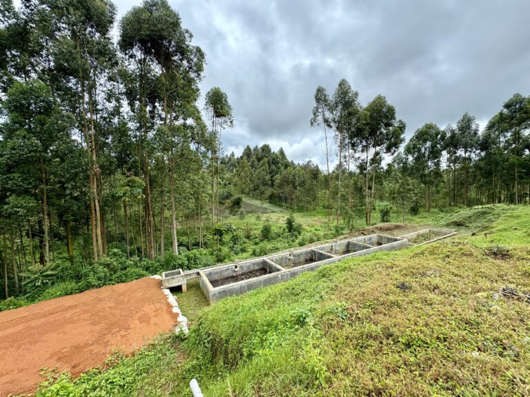 Green forested area in front a grass bank and faecal sludge treatment plant