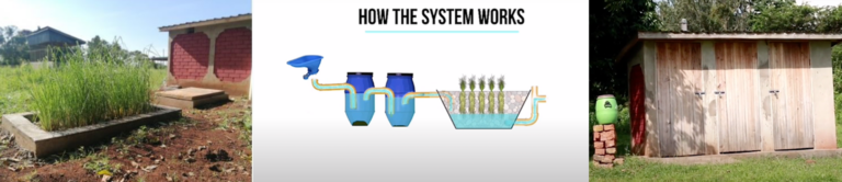 A three phase picture showing how the vetiver works and what it looks like